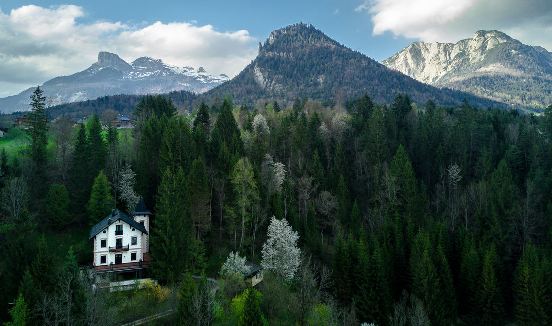 Elevated Living: Embracing the Serenity of Mountain Homes